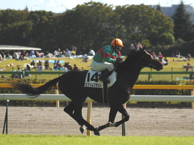 2009/10/11 ����07R