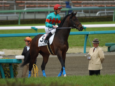 2010/03/28 ���R04R