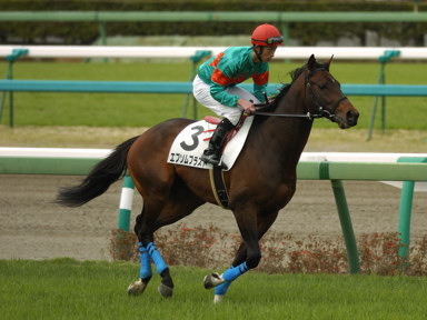 2010/03/28 ���R04R