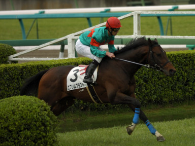 2010/03/28 ���R04R