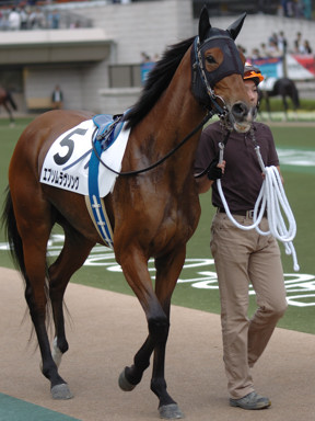 2008/10/19 東京07R