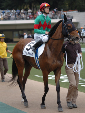 2008/10/19 東京07R