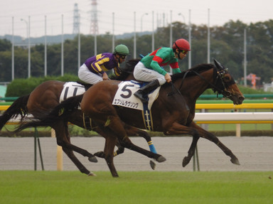 2008/10/19 東京07R