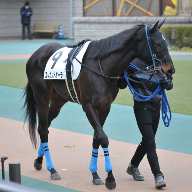 2022/02/06 東京07R