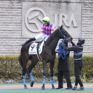 2022/02/06 東京07R
