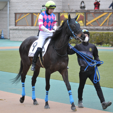 2022/02/06 東京07R