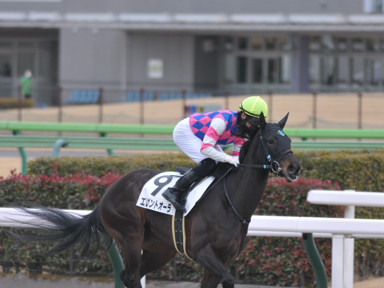 2022/02/06 東京07R