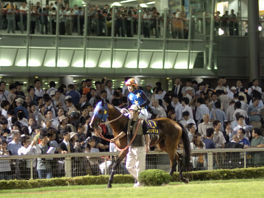2006/06/28 大井11R