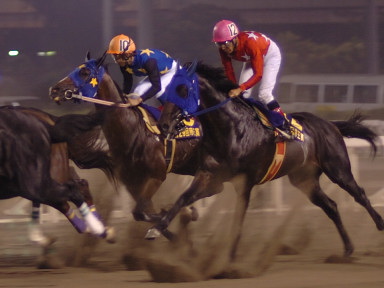 2006/06/28 大井11R