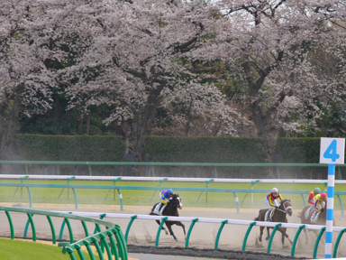 2012/04/07 R08R