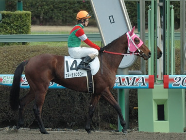 2008/03/15 中山08R