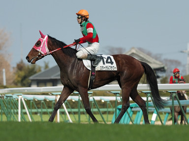 2008/03/15 中山08R