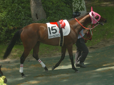 2008/06/14 東京08R
