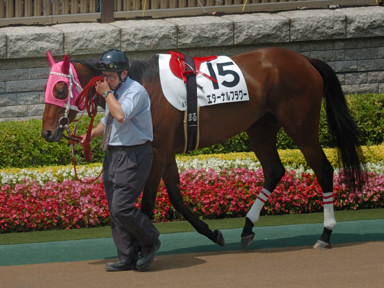 2008/06/14 東京08R