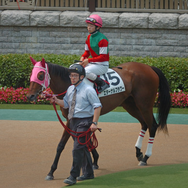 2008/06/14 東京08R
