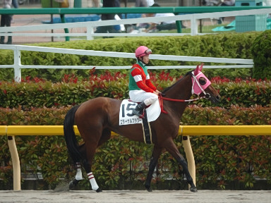 2008/06/14 東京08R