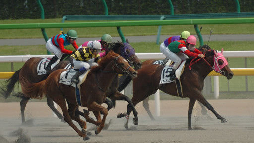2008/06/14 東京08R