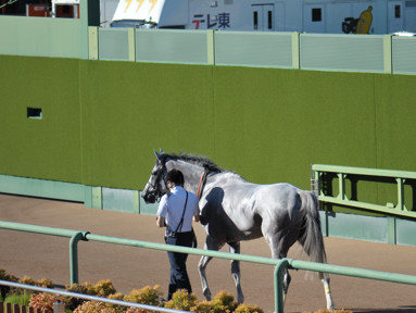 2024/09/14 R11R