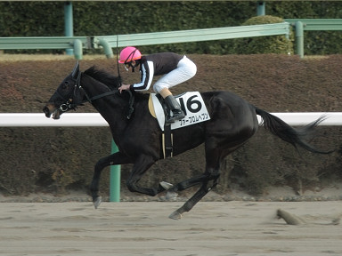 2006/01/09 R09R