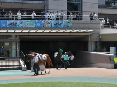 2025/05/03 東京07R