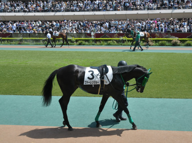 2025/05/03 東京07R
