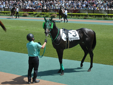 2025/05/03 東京07R
