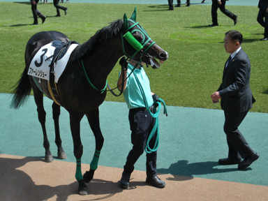 2025/05/03 東京07R