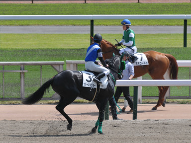 2025/05/03 東京07R
