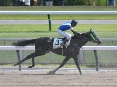 2025/05/03 東京07R