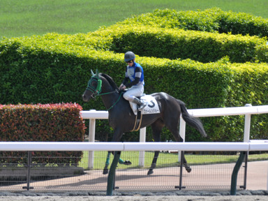 2025/05/03 東京07R