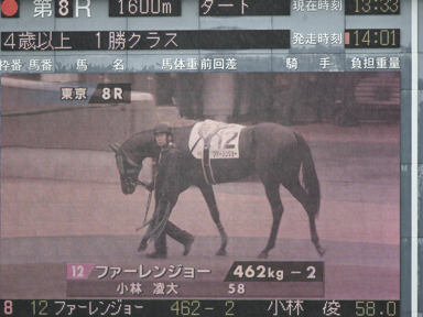 2025/05/17 東京08R