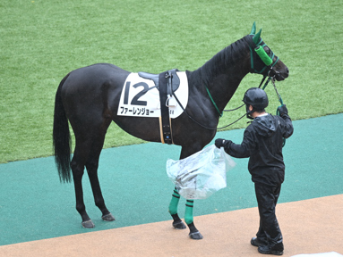 2025/05/17 東京08R