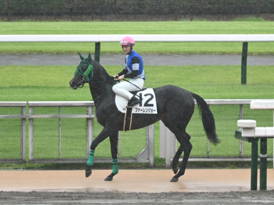 2025/05/17 東京08R