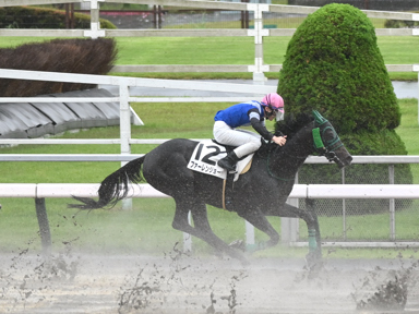 2025/05/17 東京08R