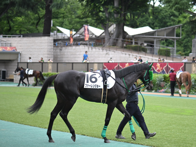 2025/06/15 東京08R