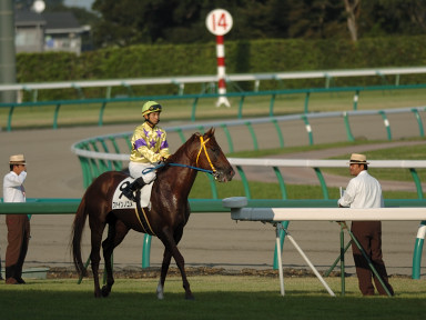 2006/09/24 R12R