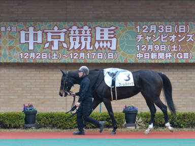 2023/12/16 中京02R