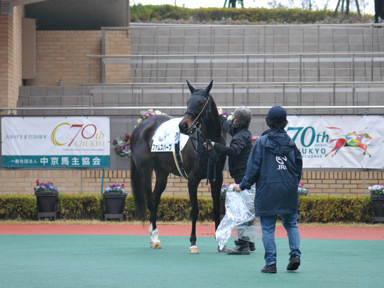 2023/12/16 中京02R