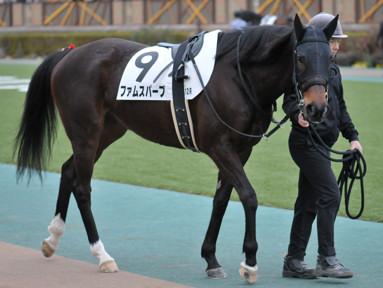 2024/02/11 東京12R