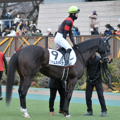 2024/02/11 東京12R