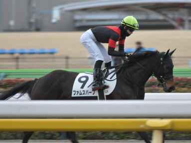 2024/02/11 東京12R