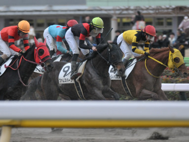 2024/02/11 東京12R
