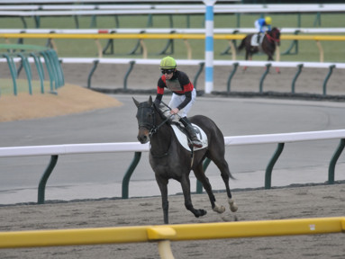 2024/02/11 東京12R
