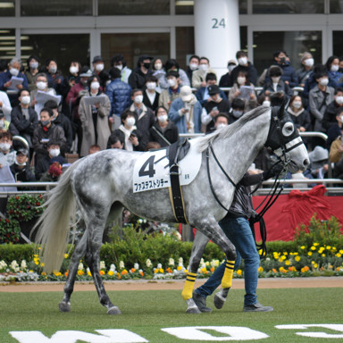 2022/12/11 中山08R