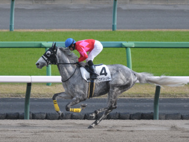 2022/12/11 中山08R