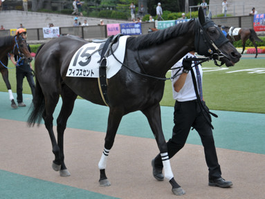 2015/06/13 東京12R