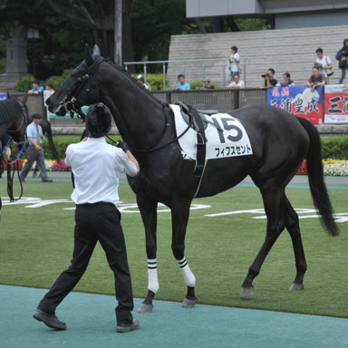 2015/06/13 東京12R