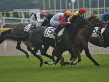 2015/06/13 東京12R