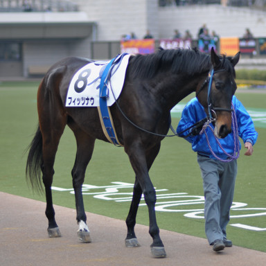 2011/02/06 東京08R