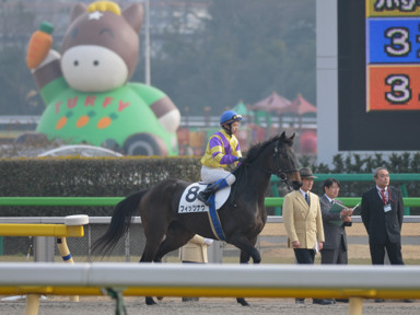 2011/02/06 東京08R